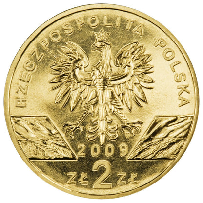 2 zł / 2009 r. - Jaszczurka Zielona